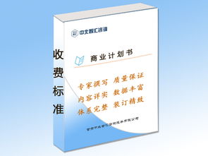 白銀地區(qū)專業(yè)商業(yè)計劃書編制指南與文化經(jīng)紀人服務